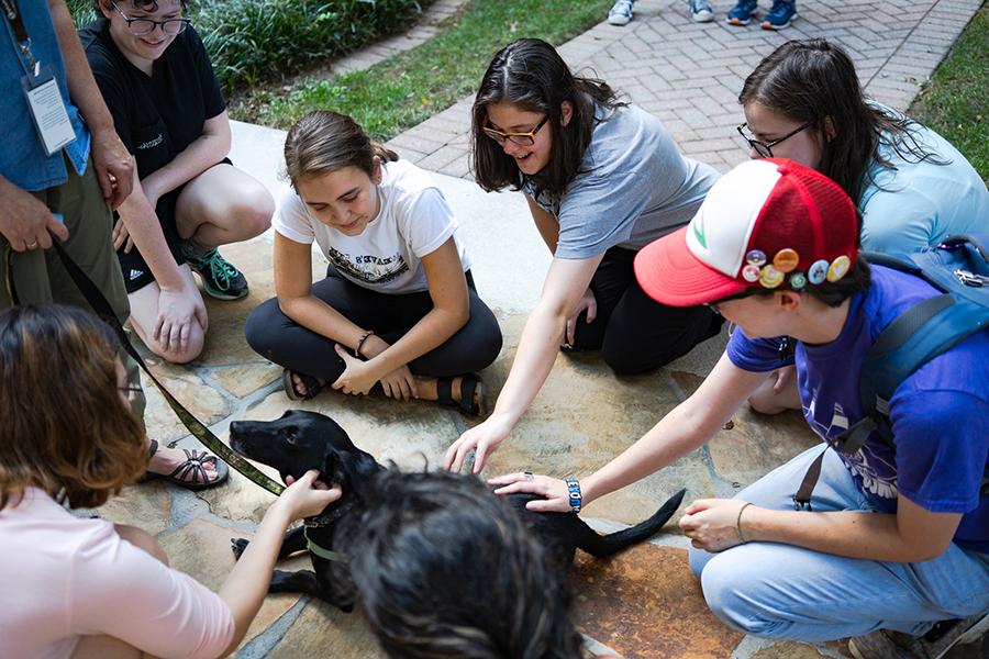 group of students petting support dogs on campus